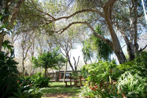 Maroela Gardens Guesthouse
